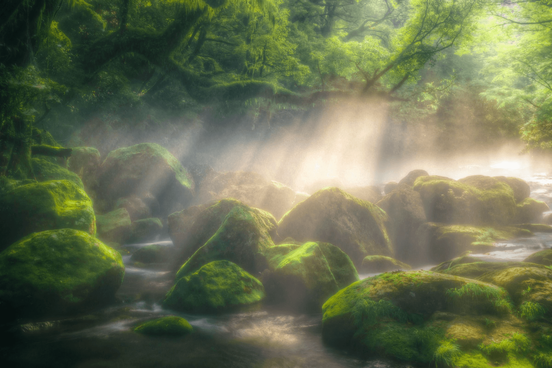 風景写真 1