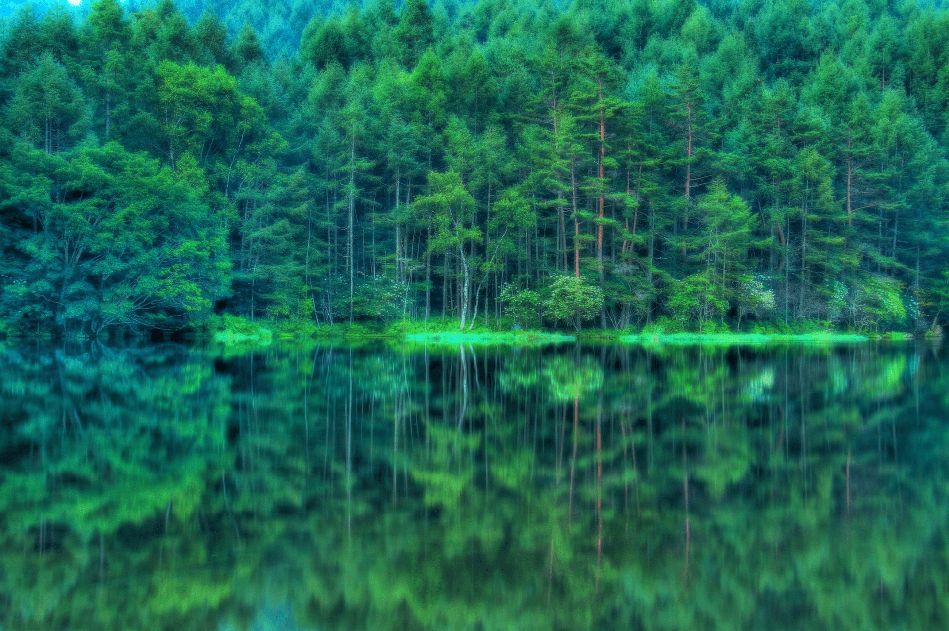 風景写真 5