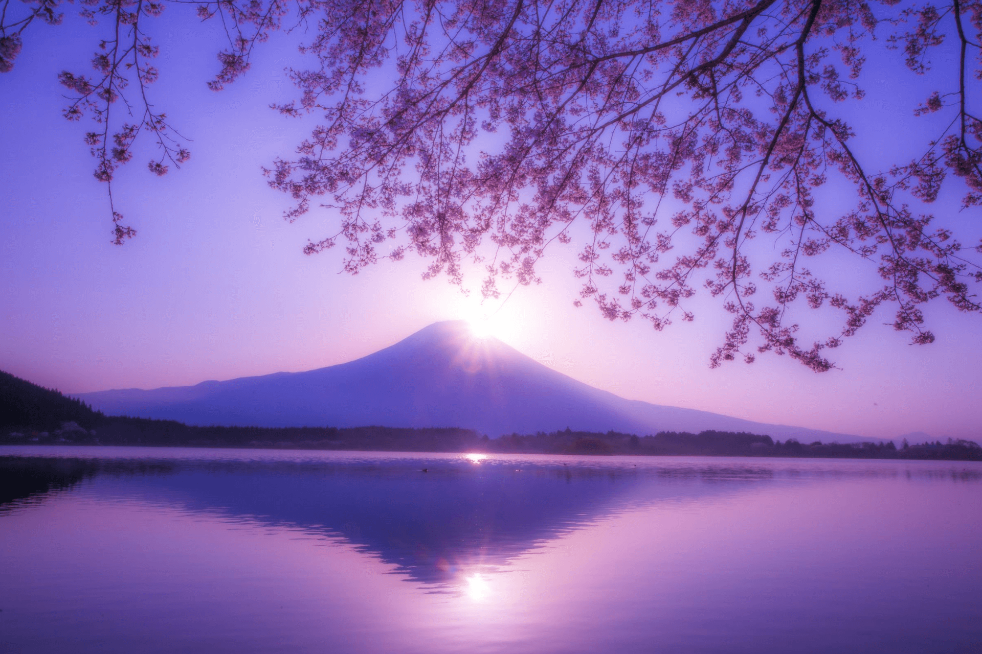 風景写真 16