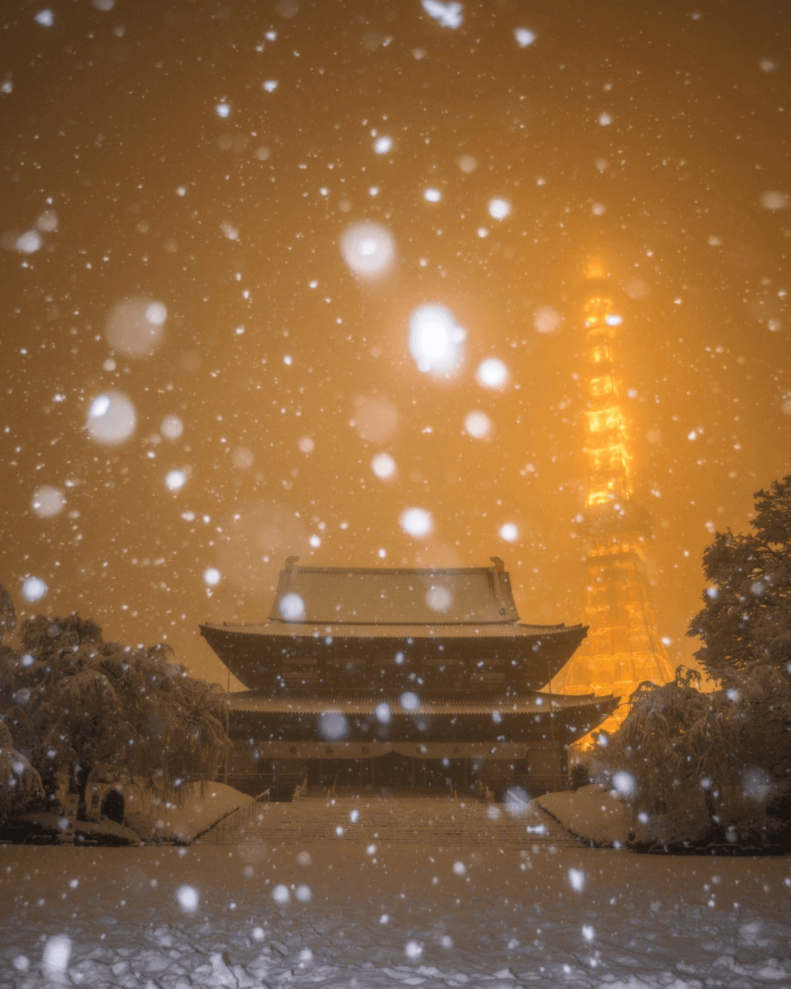 風景写真 20