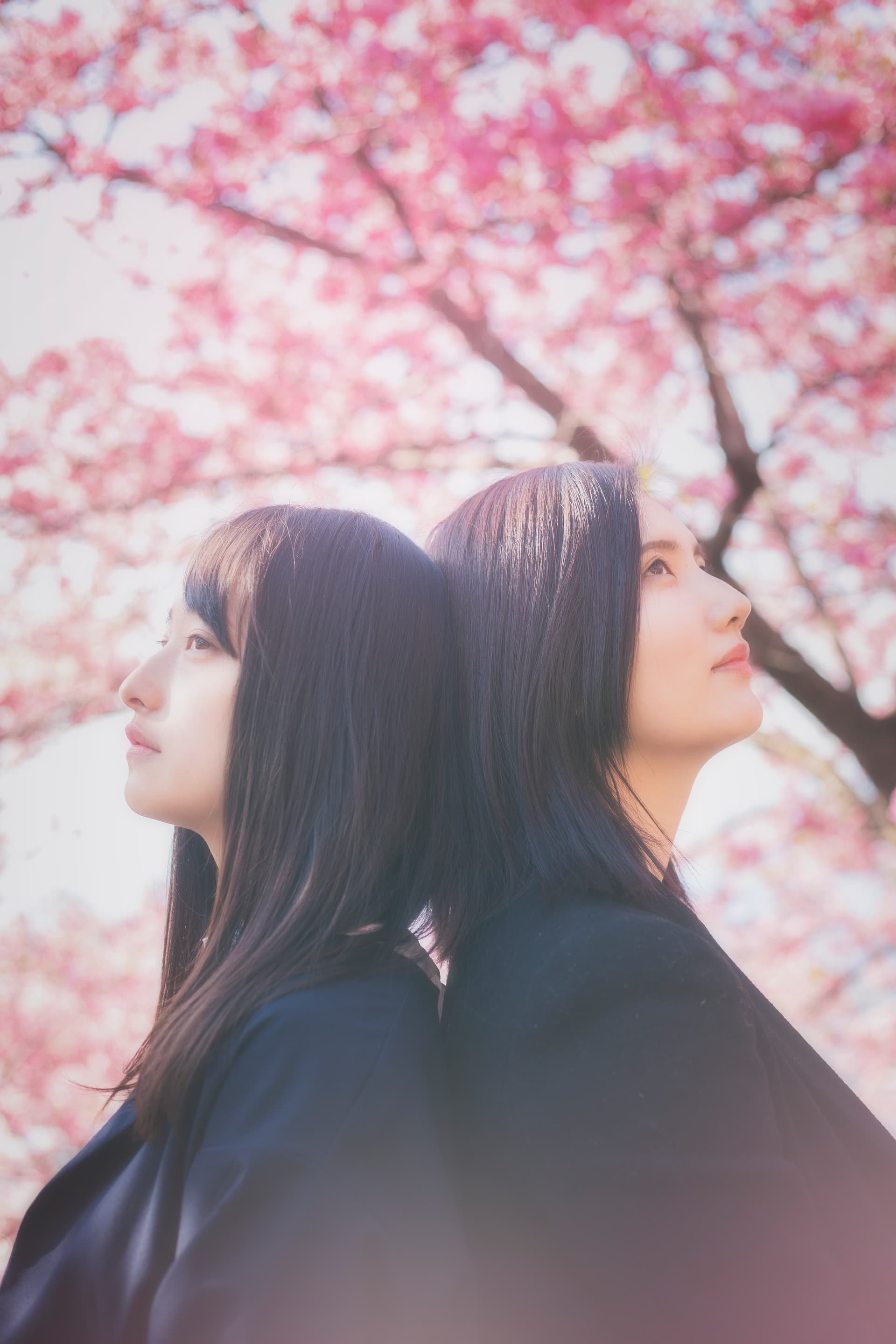 ポートレート撮影